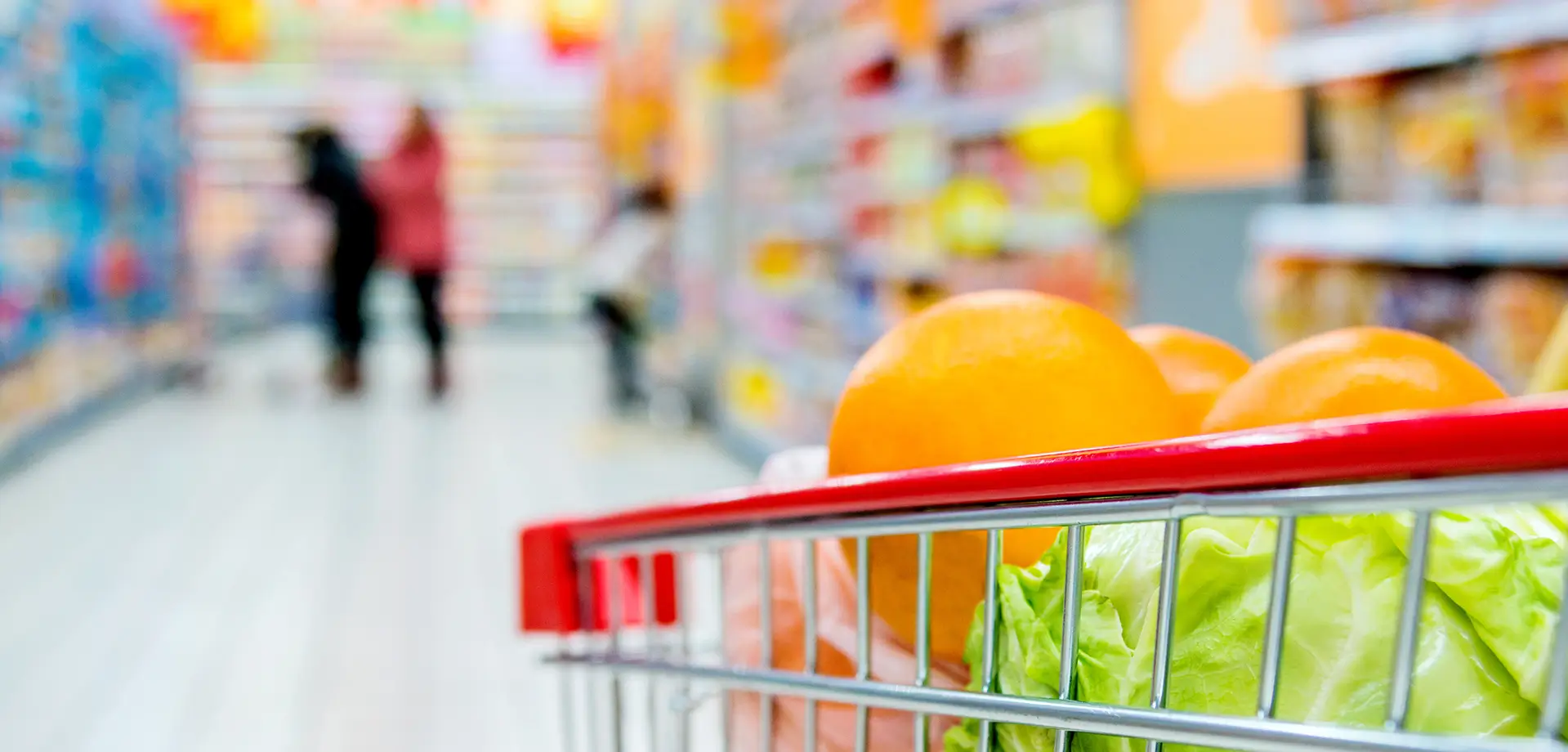 Lĩnh vực hoạt động