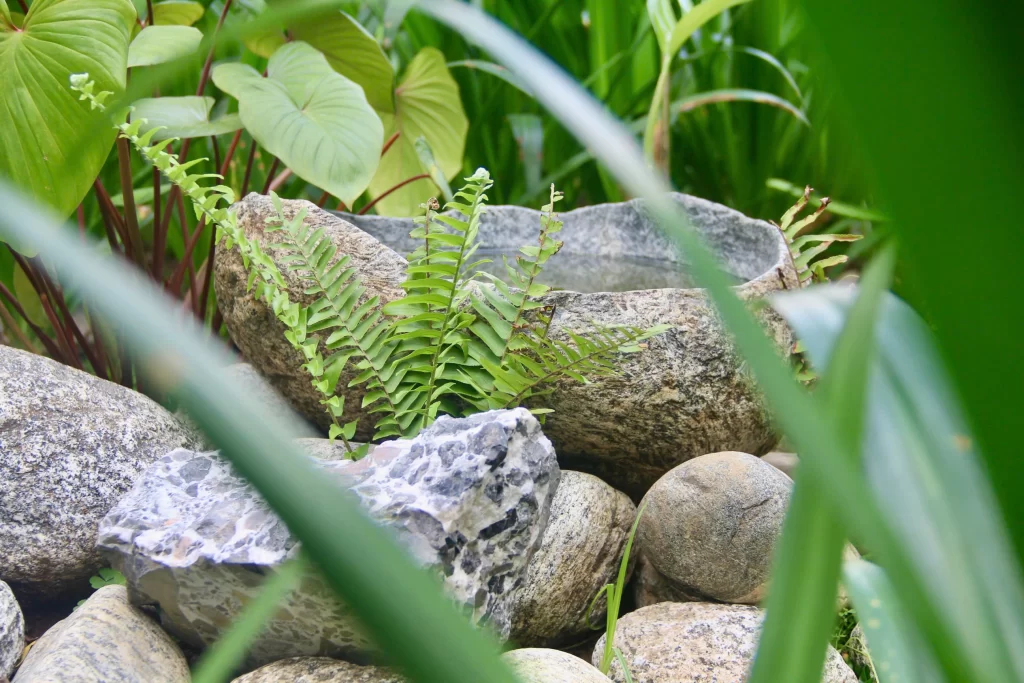 Feliz Homes – Hạnh phúc đến từ những điều giản dị, một buổi chiều thảnh thơi bên hồ bơi trong xanh.