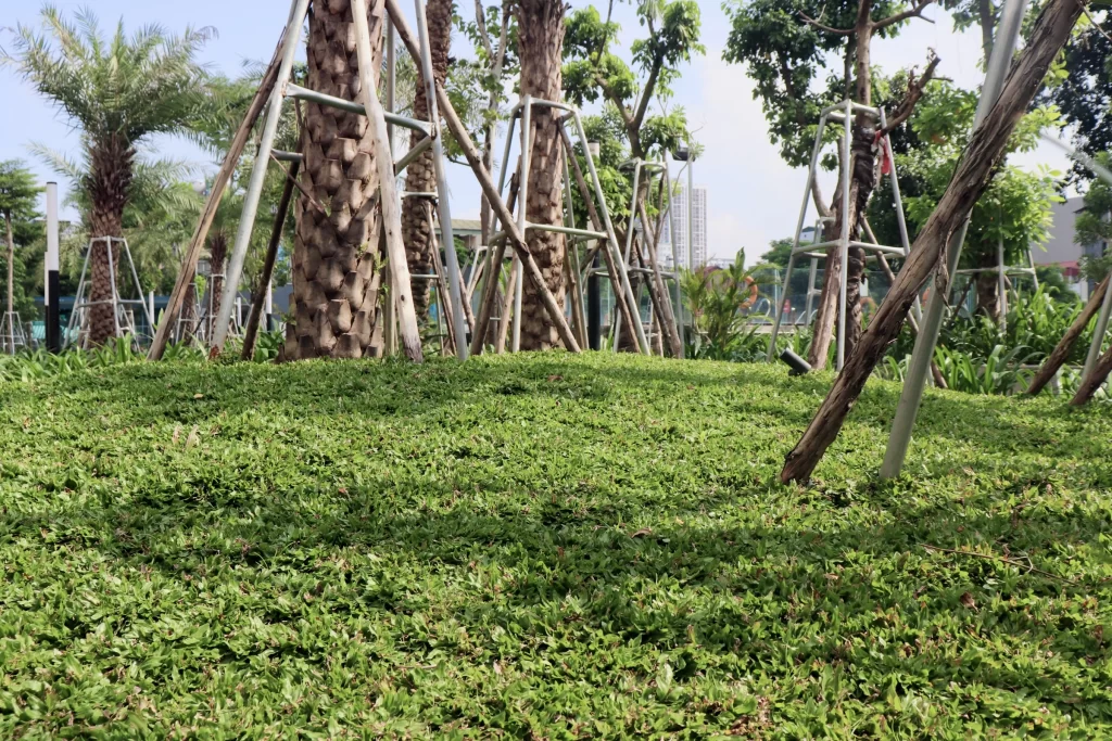 Feliz Homes – Hạnh phúc đến từ những điều giản dị, một buổi chiều thảnh thơi bên hồ bơi trong xanh.