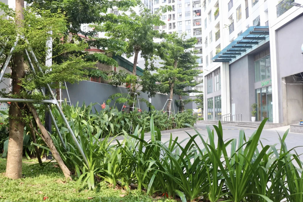 Feliz Homes – Hạnh phúc đến từ những điều giản dị, một buổi chiều thảnh thơi bên hồ bơi trong xanh.