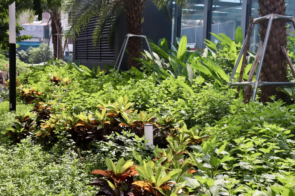 Feliz Homes – Trọn vẹn tiện ích nội khu, nâng tầm trải nghiệm sống